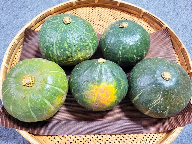 農薬不使用･無堆肥･無肥料自然栽培森のかぼちゃ