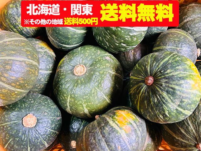 農薬不使用･無堆肥･無肥料自然栽培森のかぼちゃ5kg・10kg（北海道・関東送料無料）