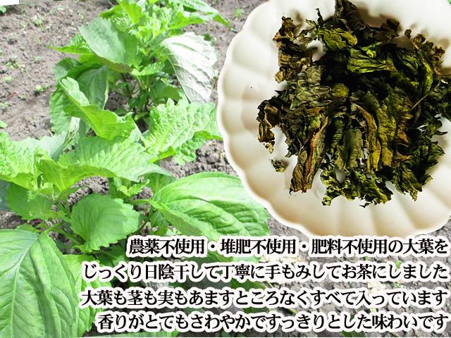 あぐりの地から〜大葉〜11月16日放送 - YouTube