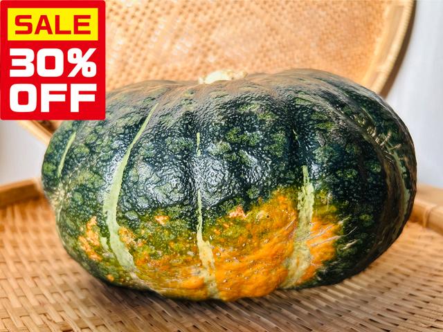 農薬不使用･無堆肥･無肥料【特売】自然栽培ほろほろかぼちゃ
