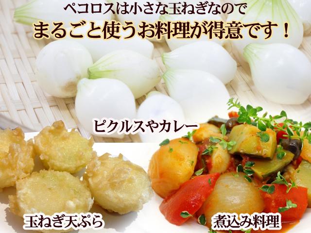 第一ネット 自然栽培の野菜を宅配する倶楽部大地 野菜