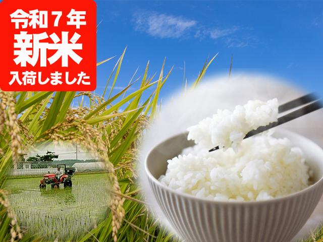 農薬ほんのわずか･無肥料【新米】村中さんちのこだわり白米（ななつぼし）