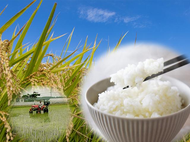 農薬ほんのわずか･無肥料村中さんちのこだわり白米（ななつぼし）