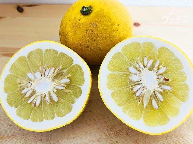 農薬不使用･無堆肥･無肥料自然栽培熟成土佐文旦