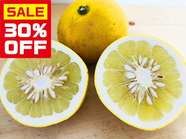 農薬不使用･無堆肥･無肥料【特売】自然栽培熟成土佐文旦