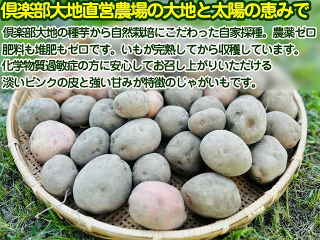 自然栽培の野菜を宅配する倶楽部大地