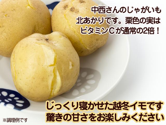 【専用】自然栽培じゃがいも(とうや)＆自然栽培にんじん など３品 楽天市場】残りわずか じゃがいも 有機栽培 4kg 鹿児島県産 宮崎