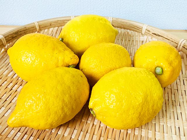 農薬不使用･無堆肥･無肥料自然栽培レモン