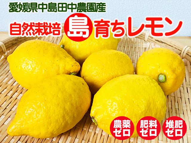 自然栽培の野菜を宅配する倶楽部大地
