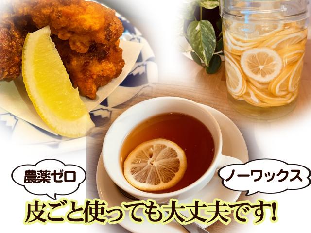 ナガマツ【クール便】無農薬！広島県大崎下島産 特別栽培レモン8キロ 瀬戸田レモン、瀬戸内レモン 皮まで食べられる無農薬レモン