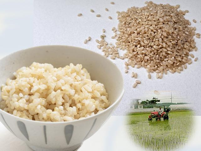 農薬ほんのわずか･無肥料村中さんちのこだわり玄米