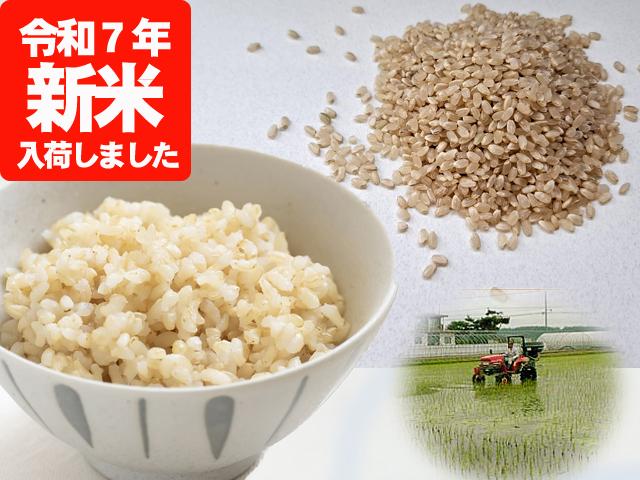 農薬ほんのわずか･無肥料【新米】村中さんちのこだわり玄米