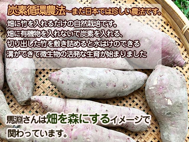 自然栽培の野菜を宅配する倶楽部大地
