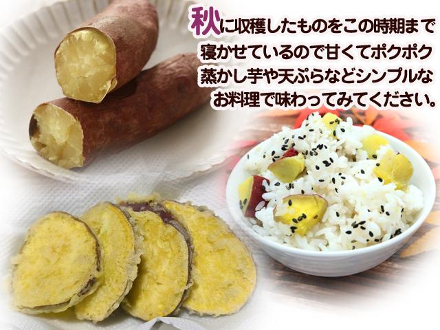 自然栽培の野菜を宅配する倶楽部大地