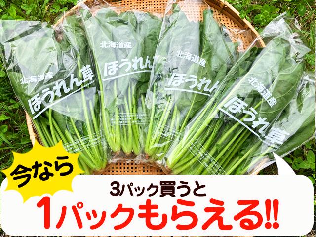農薬不使用･無化学肥料北海道産高野さんの自然農法ほうれん草