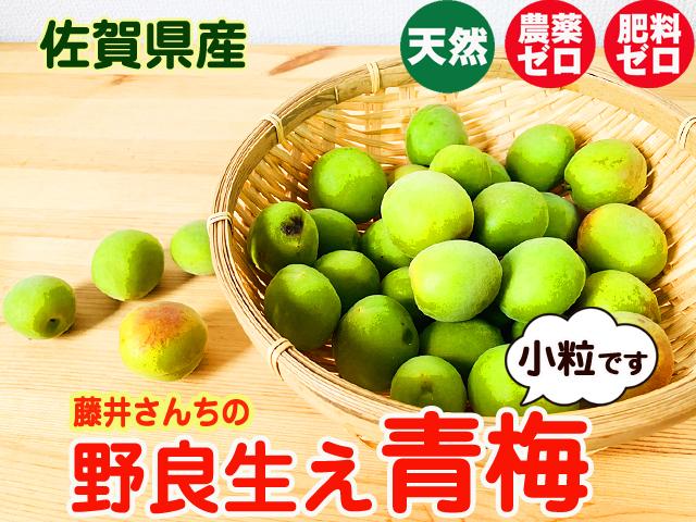 自然栽培の野菜を宅配する倶楽部大地