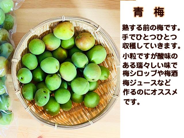 自然栽培の野菜を宅配する倶楽部大地
