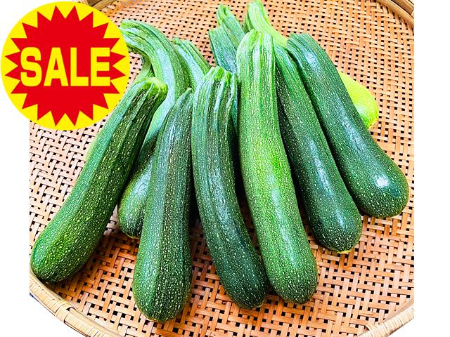 農薬不使用･無堆肥･無肥料【15％オフ】自家採種・自然栽培ズッキーニ