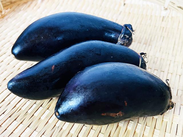 農薬不使用･無堆肥･無肥料自家採種・自然栽培なす