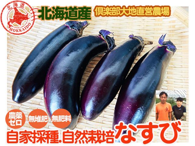 自然栽培の野菜を宅配する倶楽部大地