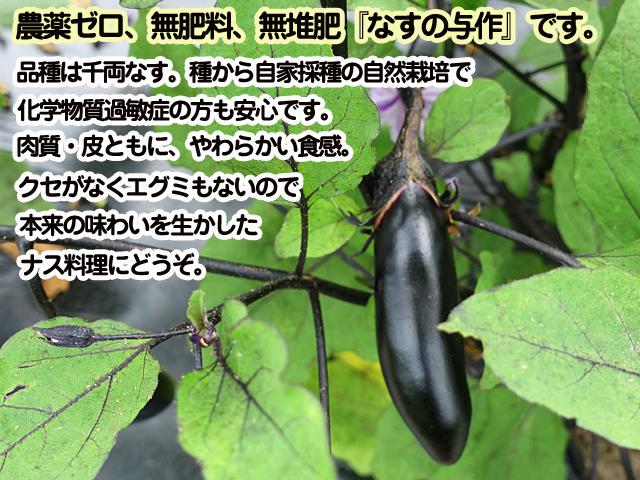 自然栽培の野菜を宅配する倶楽部大地