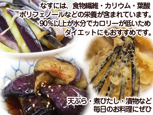 自然栽培の野菜を宅配する倶楽部大地