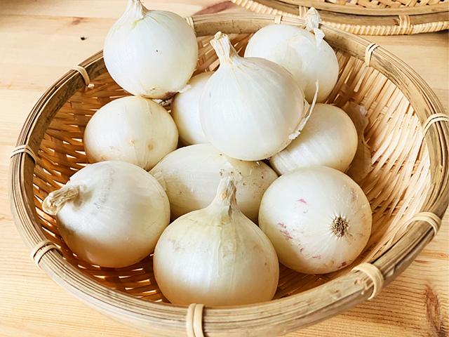 農薬不使用･無堆肥･無肥料自然栽培白玉ねぎ『雪景色』