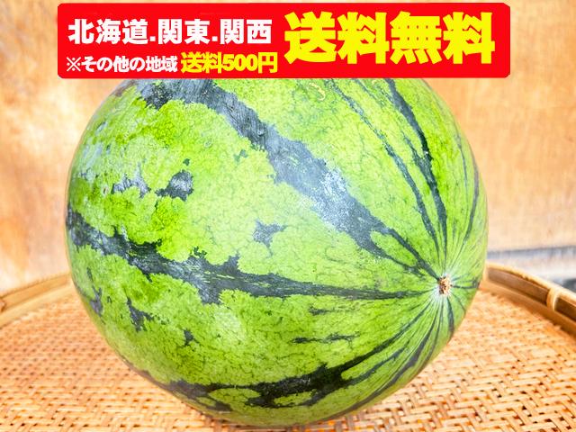 農薬不使用･無堆肥･無肥料自然栽培・固定種すいか「新大和」(北海道・関東・関西送料無料）
