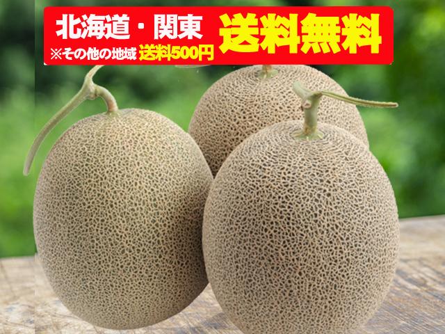 農薬不使用･無堆肥･無肥料【訳あり】自然栽培銀河メロン（北海道・関東送料無料）