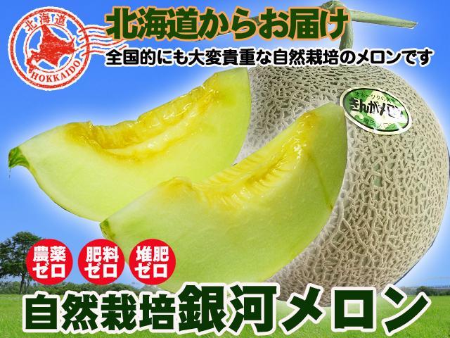 北海道産自然栽培ぎんがメロン8kg前後 北海道産自然栽培ぎんがメロン8kg前後 - メルカリ