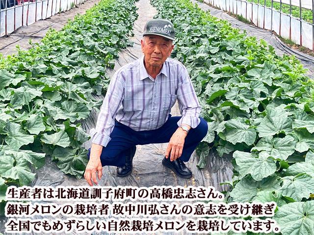 北海道産自然栽培ぎんがメロン8kg前後 北海道産自然栽培ぎんがメロン8kg前後 【26年発送先行予約