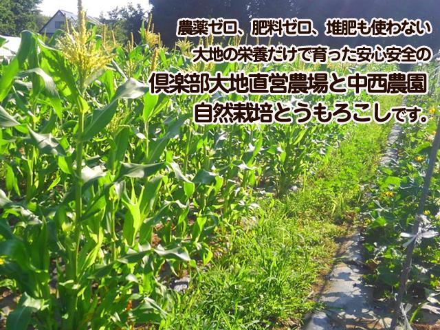 自然栽培の野菜を宅配する倶楽部大地