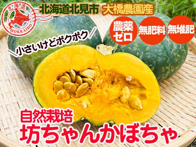 愛媛県産 無農薬栽培 坊ちゃんかぼちゃ 4玉 愛媛県産 無農薬栽培 坊ちゃんかぼちゃ 4玉
