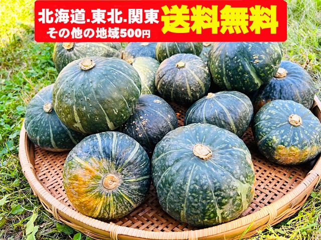 農薬不使用･無堆肥･無肥料自然栽培坊ちゃん南瓜10kg（北海道・東北・関東送料無料）