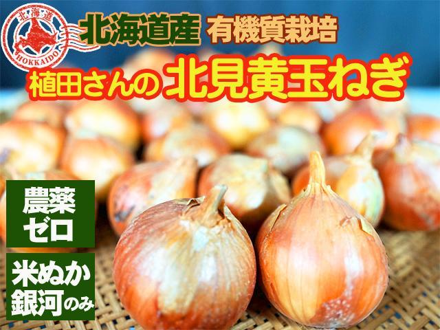 有機質農法・自家採種「北見黄玉ねぎ」