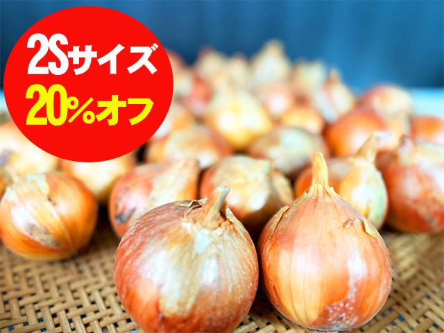 【特売】有機質農法・自家採種「北見黄玉ねぎ」