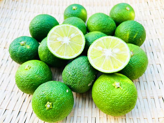 農薬不使用･無堆肥･無肥料自然栽培すだち