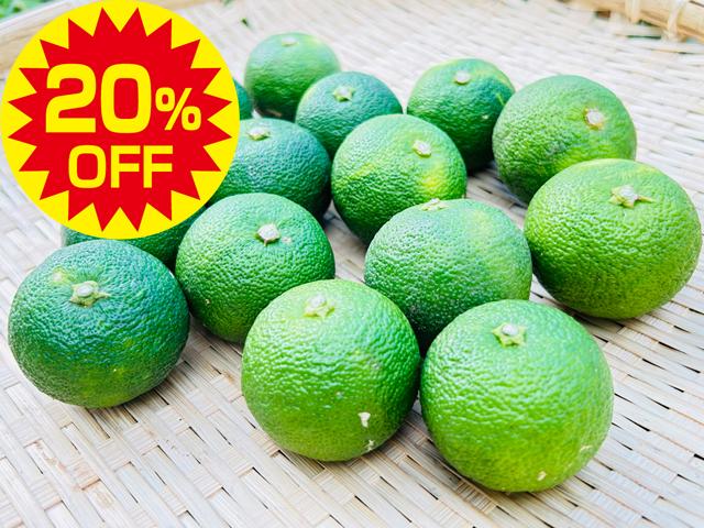 農薬不使用･無堆肥･無肥料【特売】自然栽培すだち