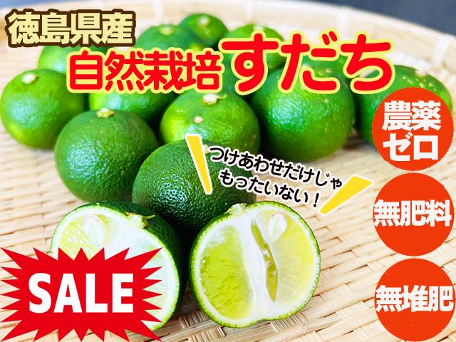 ✏おいしい野菜研究室✏ ご近所しゅんの野菜BOX（ミニ）