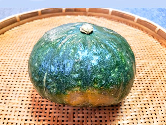 農薬不使用･無堆肥･無肥料自家採種・自然栽培ほっこりかぼちゃ（カンリー）