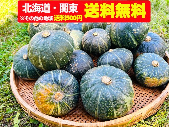 農薬不使用･無堆肥･無肥料自然栽培ほっこりかぼちゃ5kg・10kg（北海道・関東送料無料）