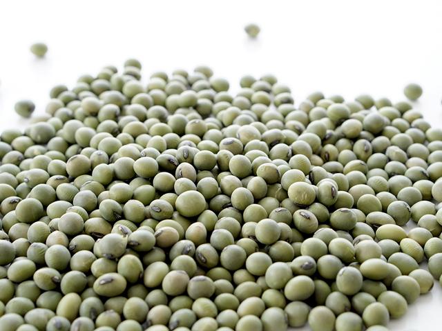 農薬不使用･無堆肥･無肥料瀬野さんの自然栽培青大豆（乾燥豆）