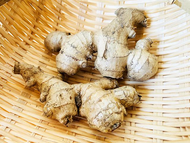 農薬不使用･無堆肥･無肥料馬淵さんの自然栽培生姜