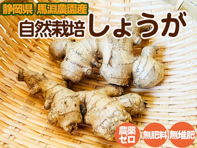 自然栽培の野菜を宅配する倶楽部大地