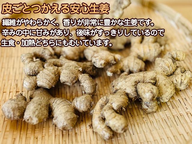 自然栽培の野菜を宅配する倶楽部大地