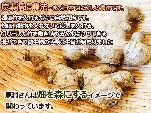 自然栽培の野菜を宅配する倶楽部大地