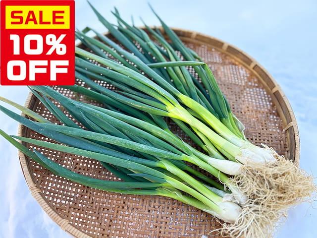 農薬不使用･無堆肥･無肥料【特売】自然栽培「草葱（くさねぎ）」
