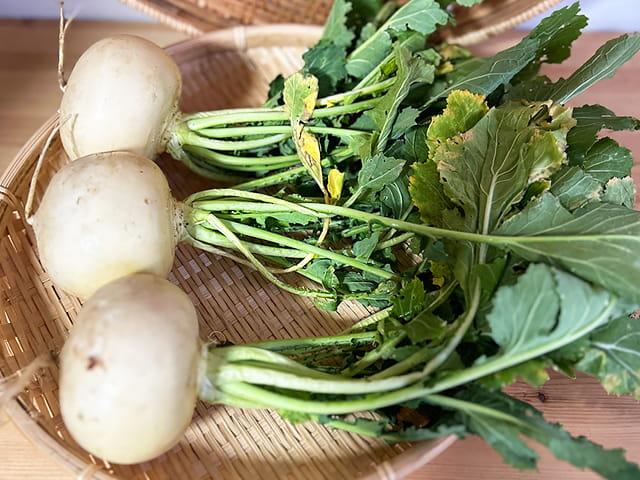 農薬不使用･無堆肥･無肥料静岡県産自然栽培白かぶ