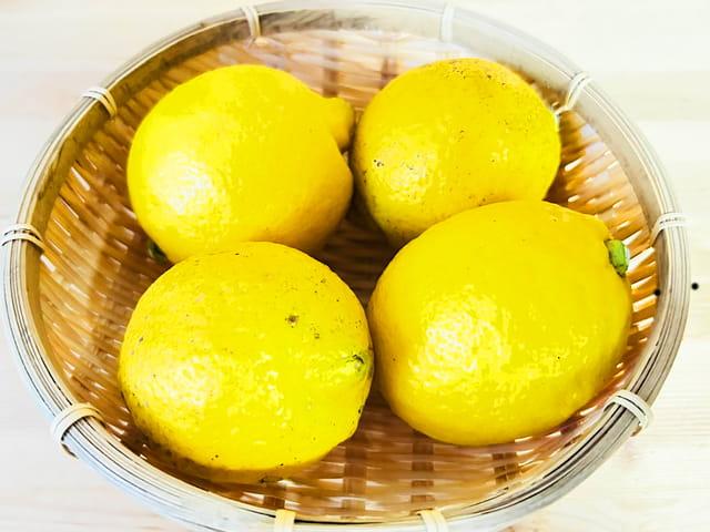 農薬不使用･無堆肥･無肥料愛媛県産自然栽培レモン