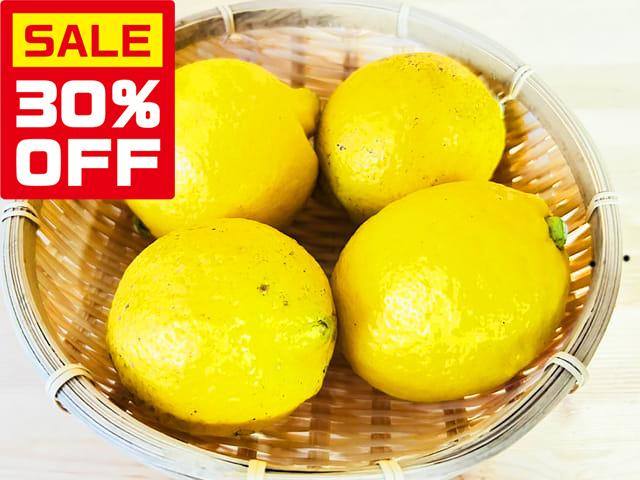 農薬不使用･無堆肥･無肥料【特売】愛媛県産自然栽培レモン